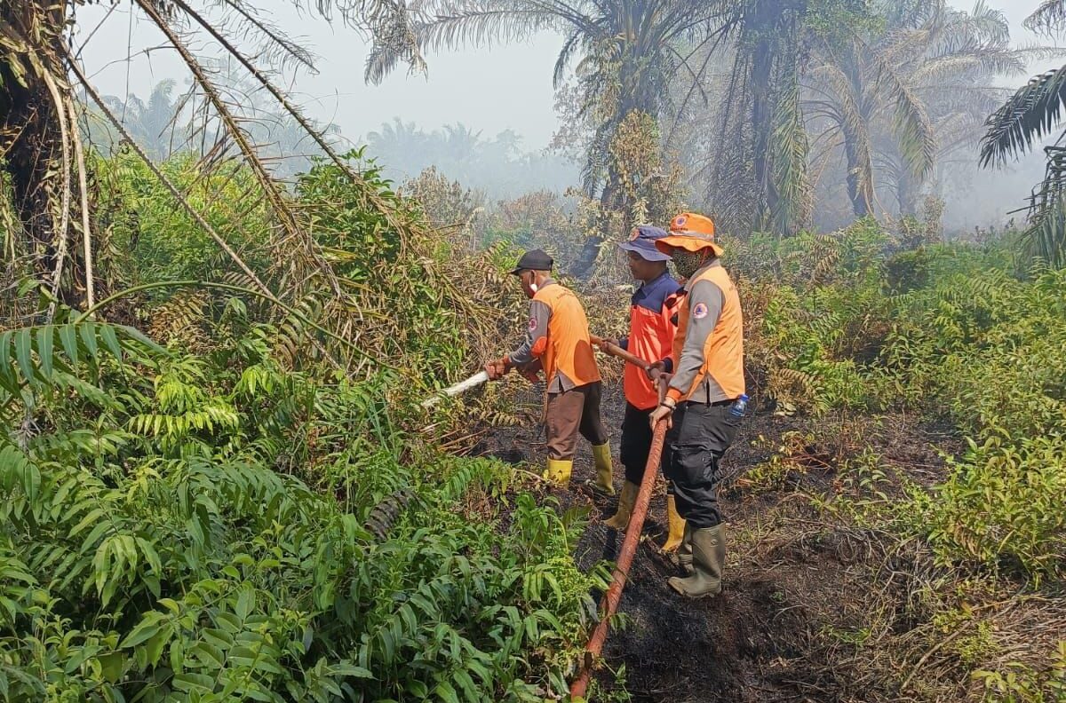 Bencana Hidrometeorologi BNPB: Medan Banjir, Riau Siaga Karhutla