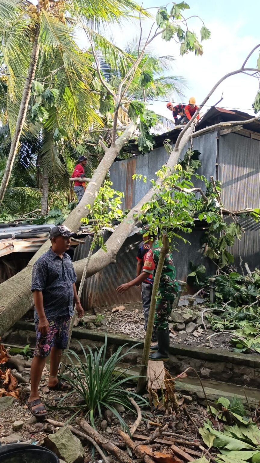 BNPB Rilis Penanganan Longsor Temanggung dan Angin Kencang di Sidrap