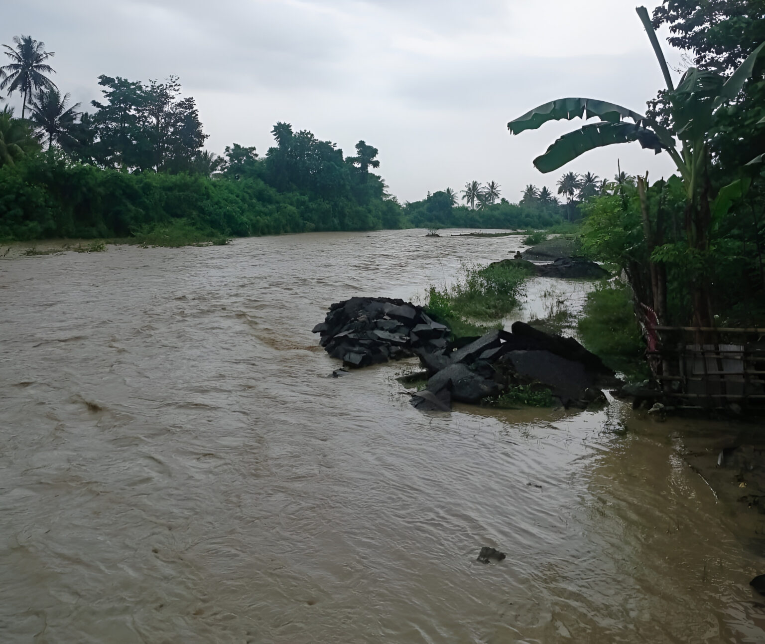 Sungai Toribulu Meluap, Banjir Rendam Delapan Hektar Sawah di Parigi Moutong