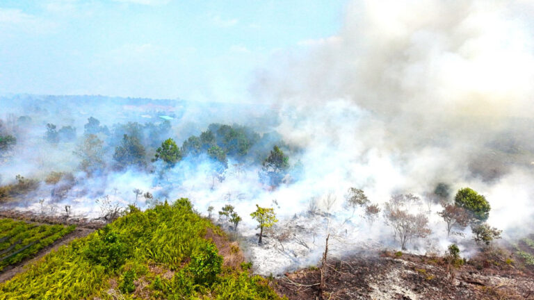 Kepulan asap tebal membumbung tinggi dari titik kebakaran hutan dan lahan (karhutla) yang membakar kawasan vegetasi di Kalimantan. (Dok. WALHI)