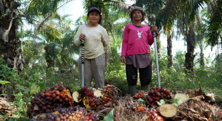 "PT Agrinas Palma Nusantara resmi menguasai 27 ribu hektare lahan sawit sitaan negara di Lamandau atas instruksi Presiden Prabowo Subianto."