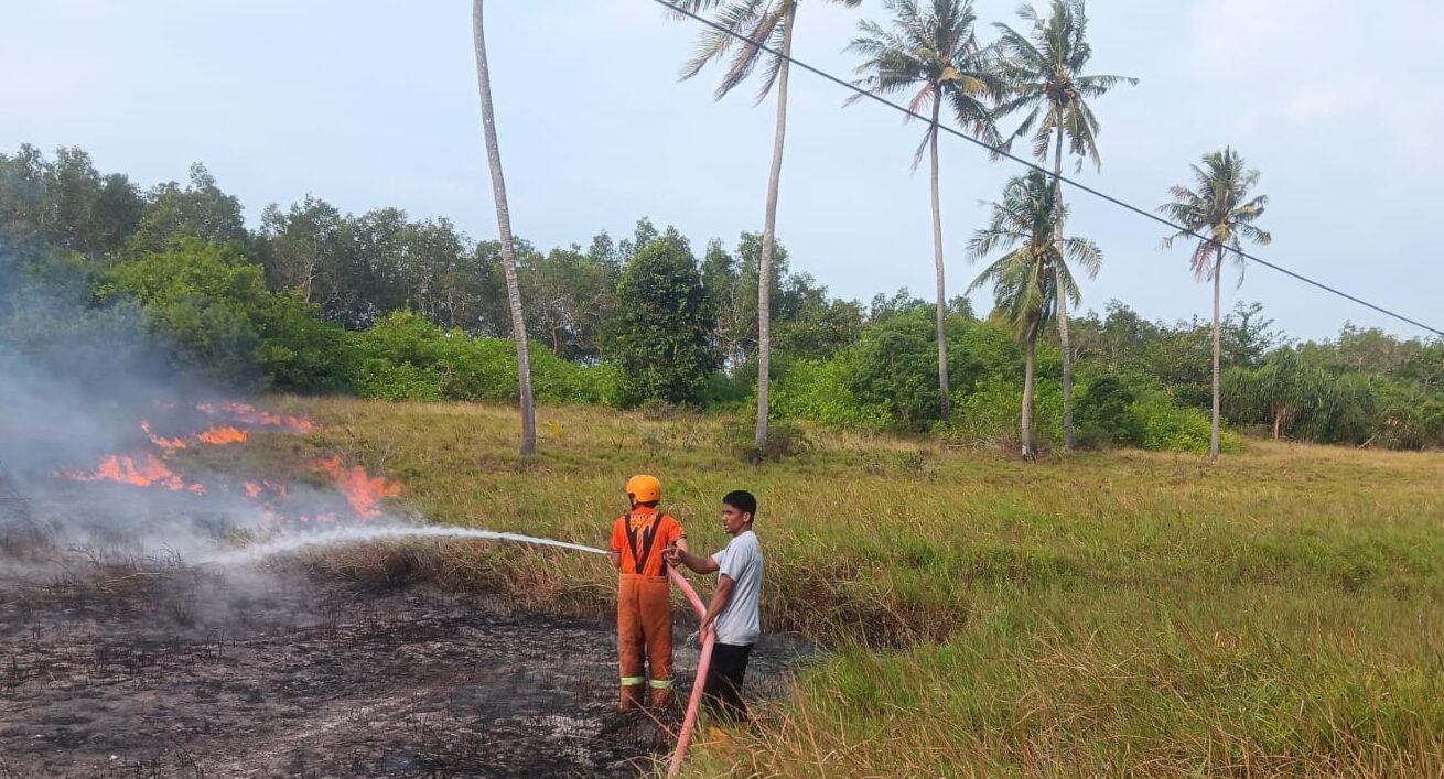 BNPB Catat Bencana Hidrometeorologi Dominasi Sejumlah Wilayah di Indonesia