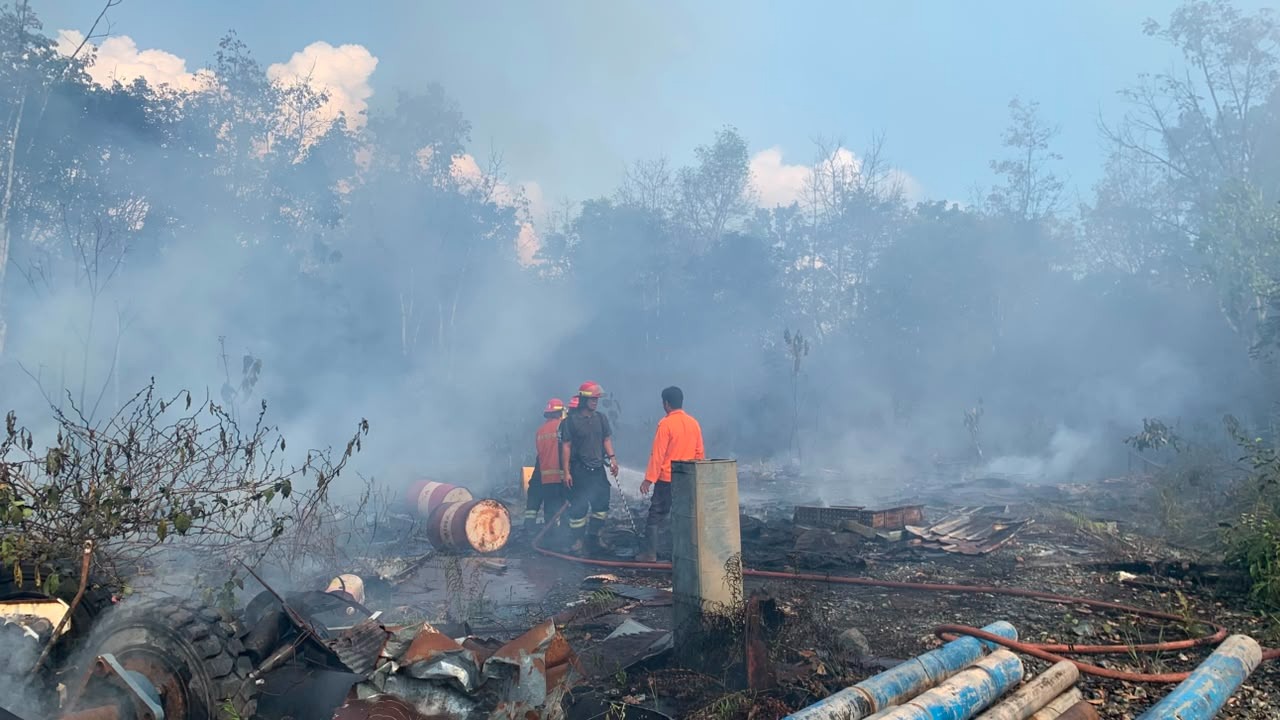 BNPB Catat Karhutla Meluas di Enam Provinsi, Puluhan Hektare Lahan Terbakar