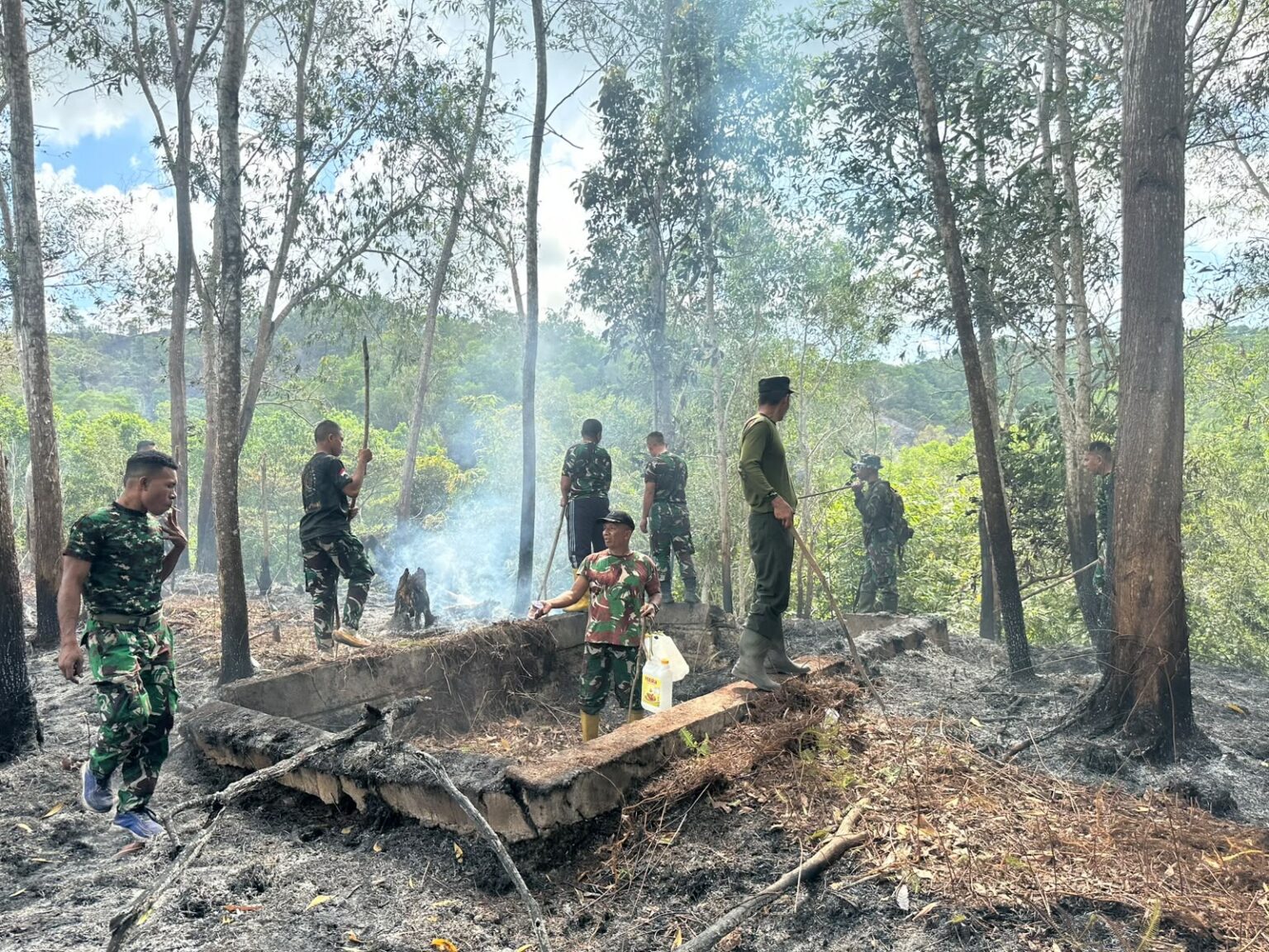 Musim Kemarau, BNPB Catat Maraknya Karhutla di Papua Barat Daya dan Jawa