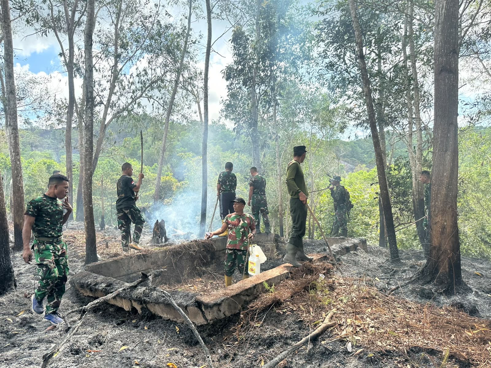 Musim Kemarau, BNPB Catat Maraknya Karhutla di Papua Barat Daya dan Jawa