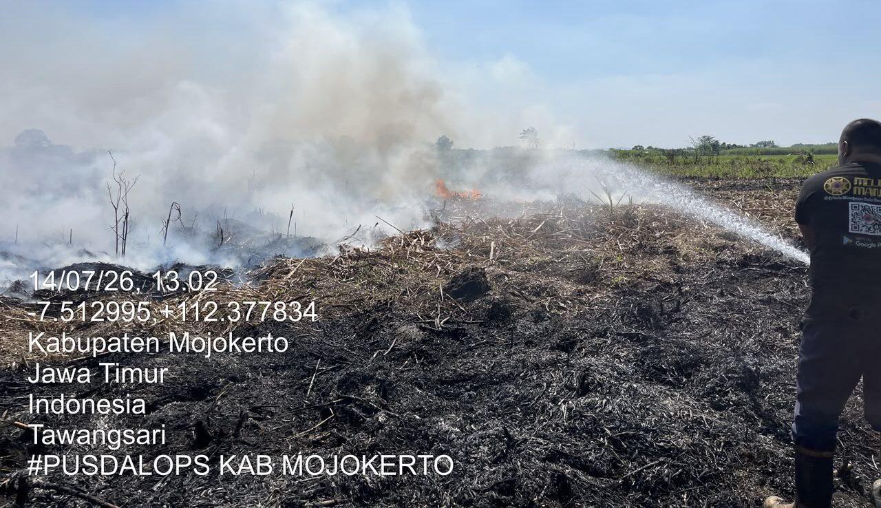 Kemarau Ekstrem Meluas, BNPB Laporkan Kebakaran Lahan di Tiga Provinsi