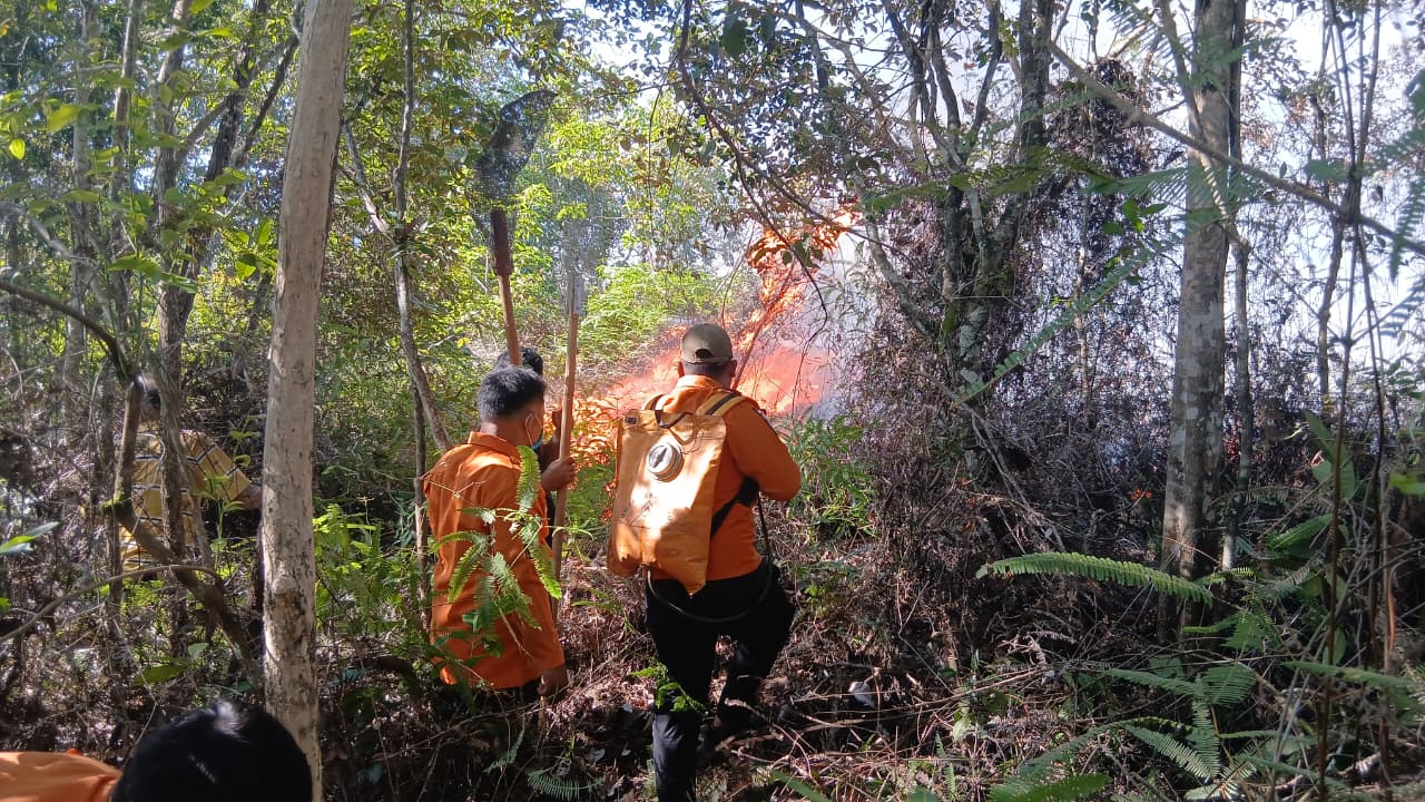 BNPB Petakan Sebaran Bencana Kekeringan, Karhutla, dan Angin Kencang di Daerah