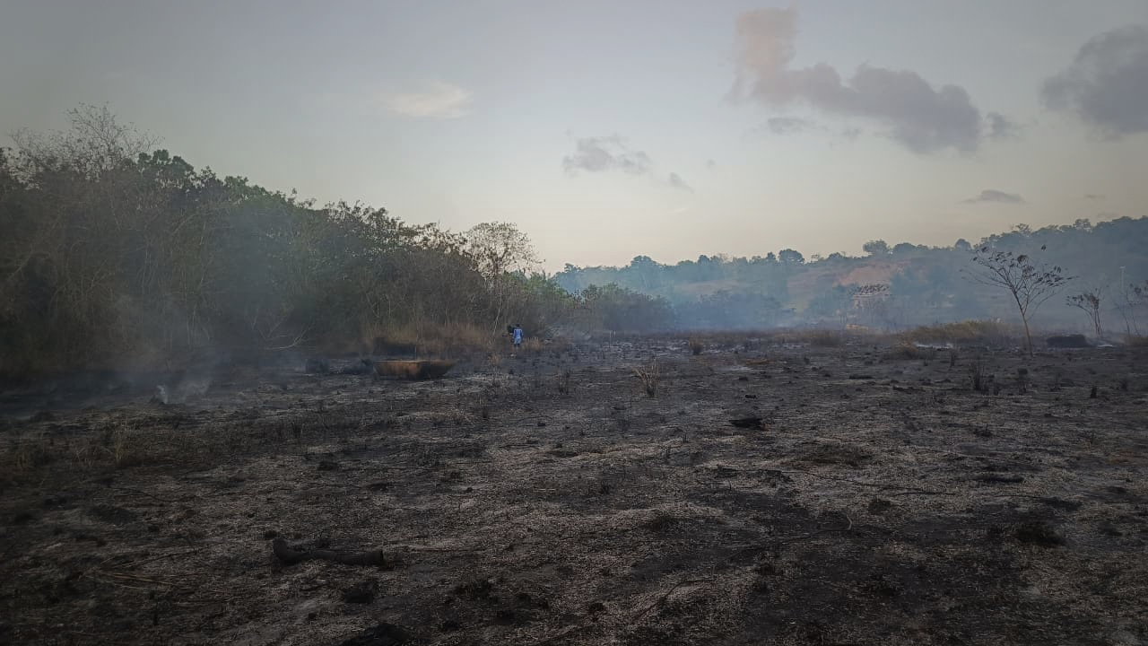 Lahan Terbakar di Sorong Hingga Kekeringan Lamongan, BNPB Rangkum Penanganan Bencana Kemarau