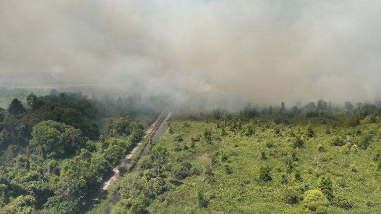 "Karhutla seluas 29 hektare di Ketapang mendekati pusat rehabilitasi orangutan YIARI. Tim gabungan dan helikopter water bombing dikerahkan memadamkan api."