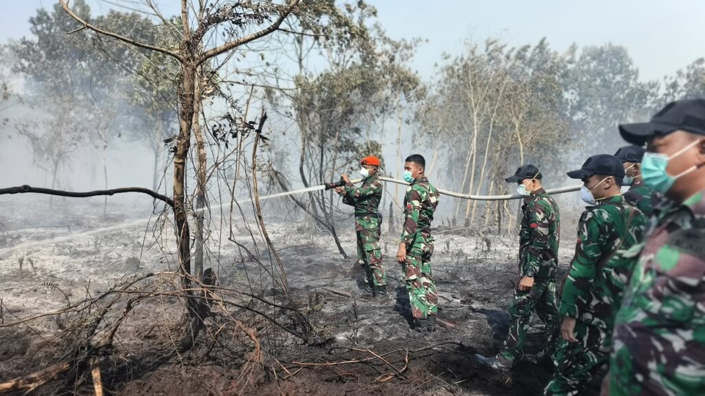 Karhutla Meluas di Limbung Kubu Raya, Tim Gabungan Diterjunkan Padamkan Api
