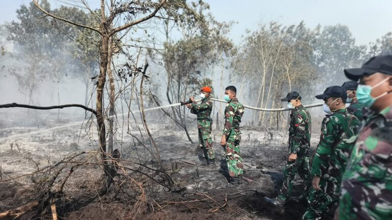 "Kebakaran hutan dan lahan melahap vegetasi kering di Limbung, Kubu Raya. Tim gabungan TNI dan BNPB diterjunkan ke lokasi untuk pemadaman."