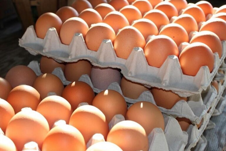 "Kebutuhan telur di Kaltara baru terpenuhi 30 persen dari produksi lokal. Pemprov Kaltara dorong perluasan kandang peternak untuk kurangi pasokan luar."