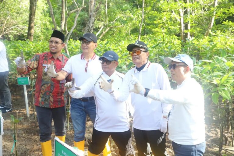 "Pemprov Kaltim menanam 12.000 bibit mangrove di Pantai Lamaru Balikpapan. Langkah ini bagian dari peringatan Hari Mangrove Sedunia dan pemulihan lahan kritis."