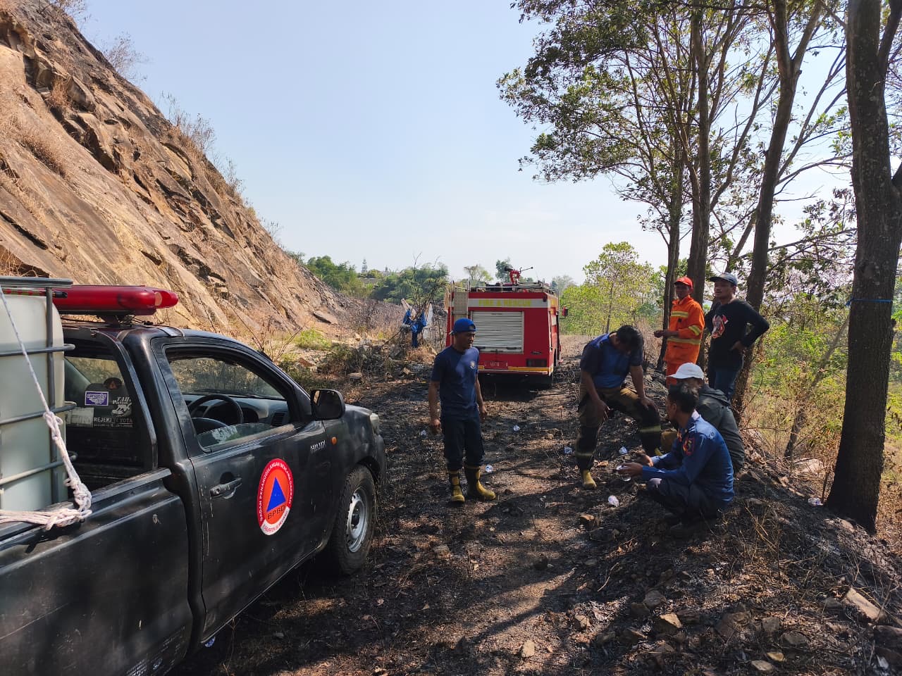 BNPB Catat Karhutla dan Kekeringan Meluas di Berbagai Wilayah Indonesia
