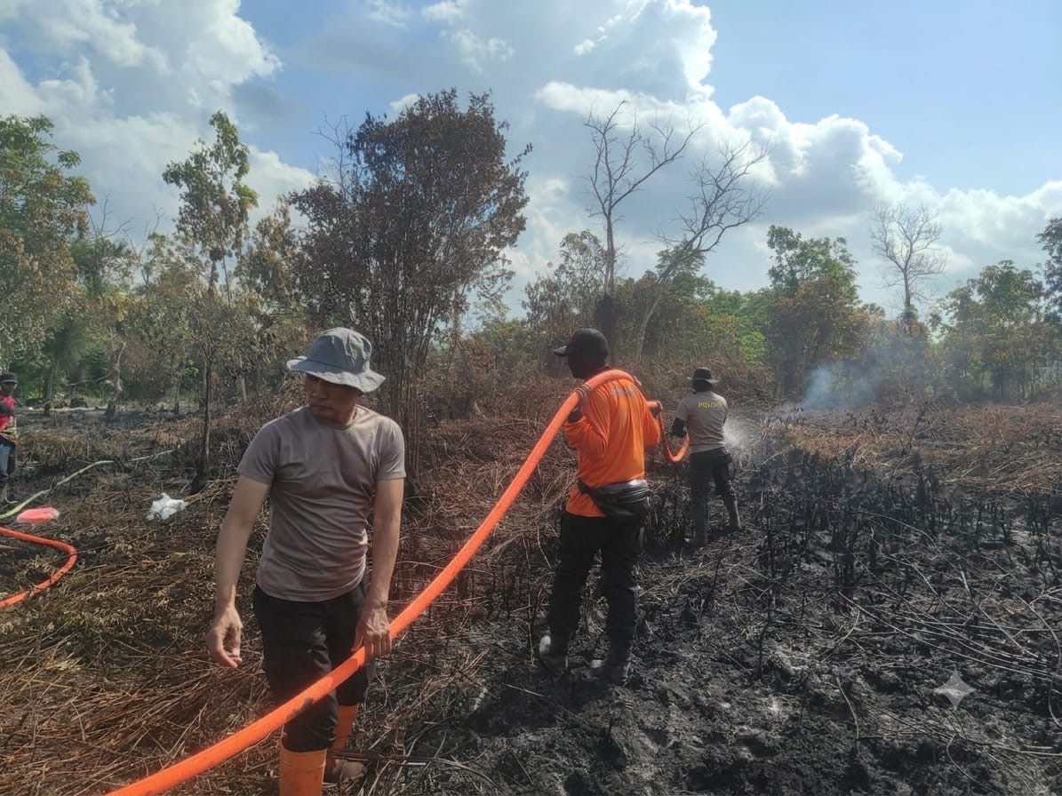 Kemarau El Nino Mengintai Gambut Kubu Raya, Pembakar Lahan Diancam Denda Rp15 Miliar