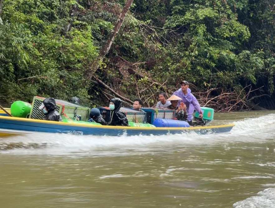 Proses pengangkutan kandang satwa pada pelepasliaran orangutan tn betung kerihun tahap delapan belas