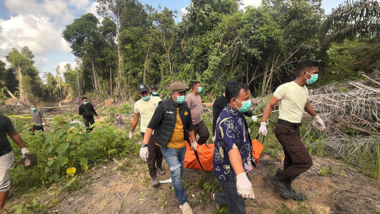 Petugas kepolisian dan warga mengevakuasi kantong jenazah korban pembunuhan di area perkebunan sawit Desa Seguling, Manis Mata, Ketapang. (Dok. Polres Ketapang)