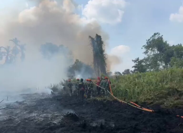 "Karhutla di lahan gambut Parit Seruat, Kubu Raya, mendekati pemukiman dan sekolah. Tim gabungan lakukan pemadaman maraton."