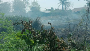 Kondisi lahan bekas terbakar yang masih mengeluarkan asap di dekat permukiman warga di Nabire, Papua Tengah. (Dok. BNPB)