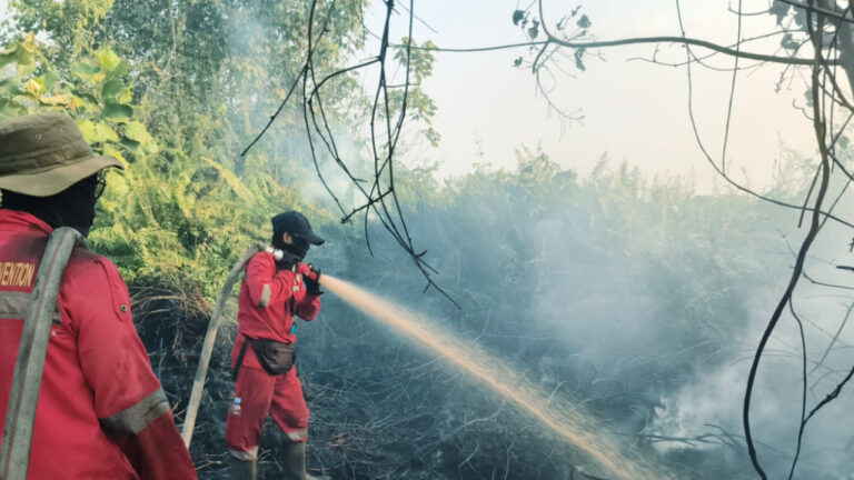 Dua petugas Manggala Agni mengenakan pakaian merah menyemprotkan air menggunakan selang untuk memadamkan kebakaran lahan di Kalimantan Barat. (Dok. BNPB Kalbar)