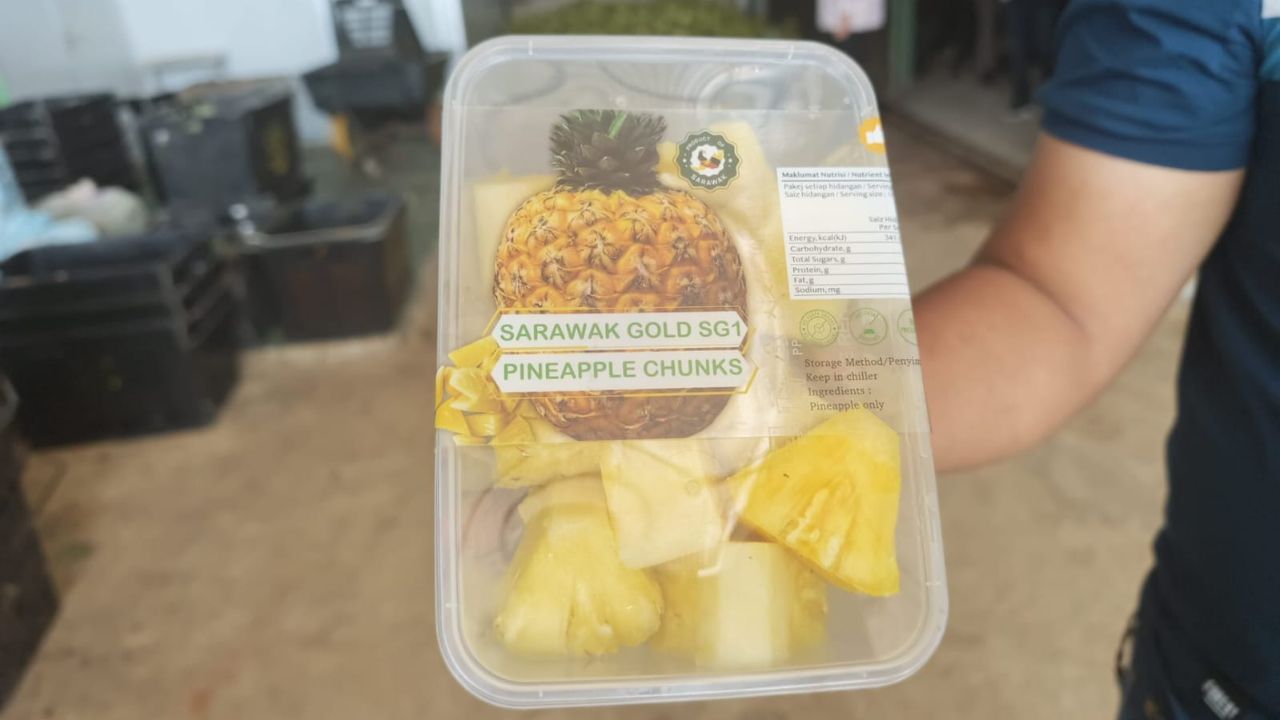 From Gula Apong and Pineapples on Peatland to Pandan Wangi Coconuts: Learning About Value Addition from Samarahan