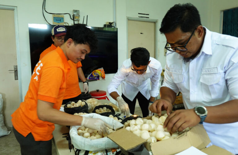 "Balai PK Pontianak amankan 1.286 butir telur penyu tak bertuan di Sambas. Tim medis uji fertilitas telur penyu hijau dan penyu sisik hasil sitaan."