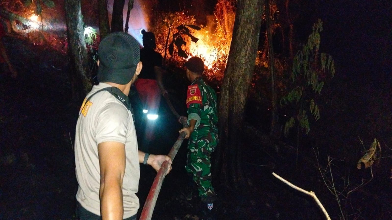 Dua Wilayah Dilanda Karhutla dan Banyumas Krisis Air, BNPB Rilis Perkembangan Bencana Kemarau