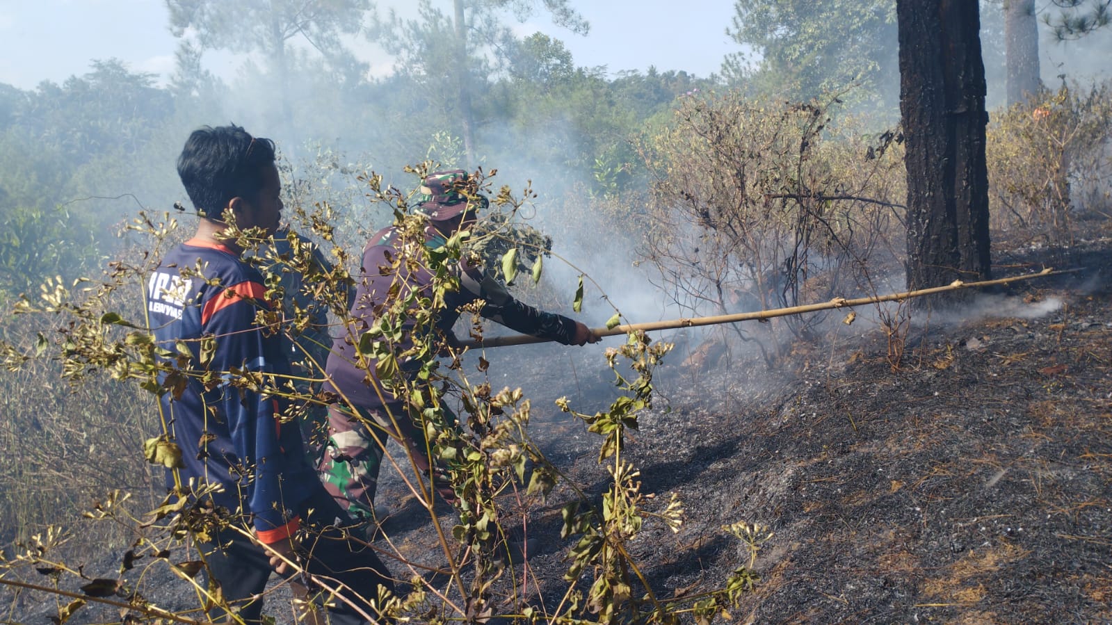 BNPB Catat Rekam Karhutla di Berbagai Wilayah Indonesia, Bromo Terbakar 520 Hektare