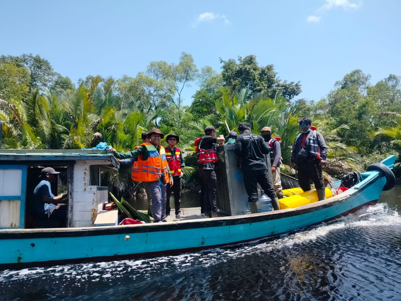 Terancam Karhutla di Ketapang, Empat Individu Orangutan Berhasil Dievakuasi