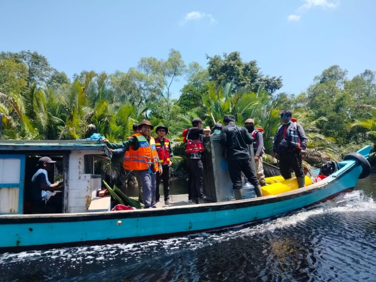"Empat individu orangutan yang terusir akibat karhutla di Ketapang berhasil dievakuasi tim gabungan BKSDA Kalbar dan YIARI ke habitat aman TNGP."