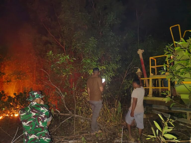 "BNPB laporkan karhutla dominasi bencana di Tanah Air, ratusan hektare lahan di Way Kambas Lampung dan Halmahera Timur berhasil dipadamkan tim gabungan."