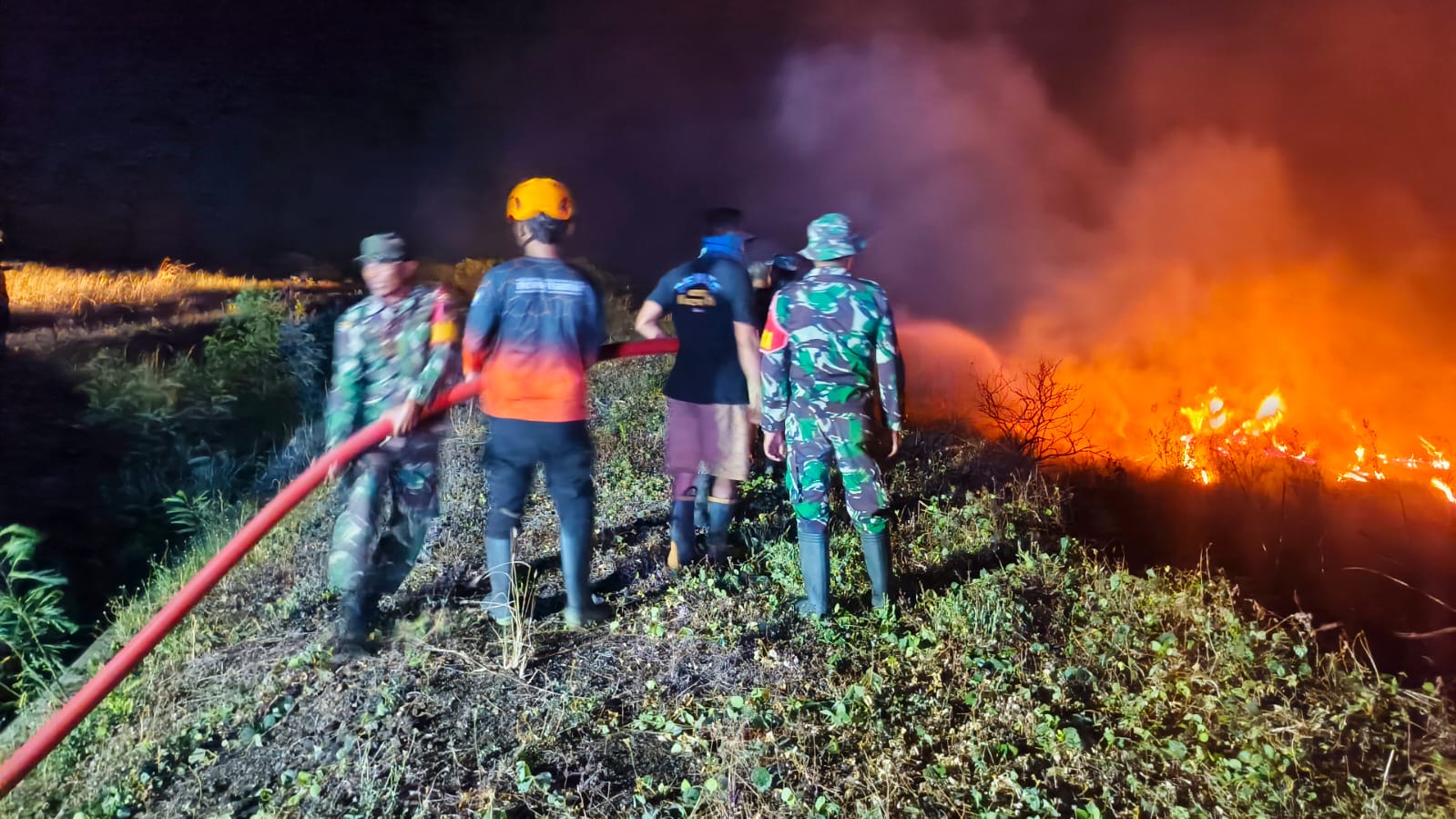 Karhutla, Kekeringan, dan KLB DBD Melanda Berbagai Daerah di Indonesia