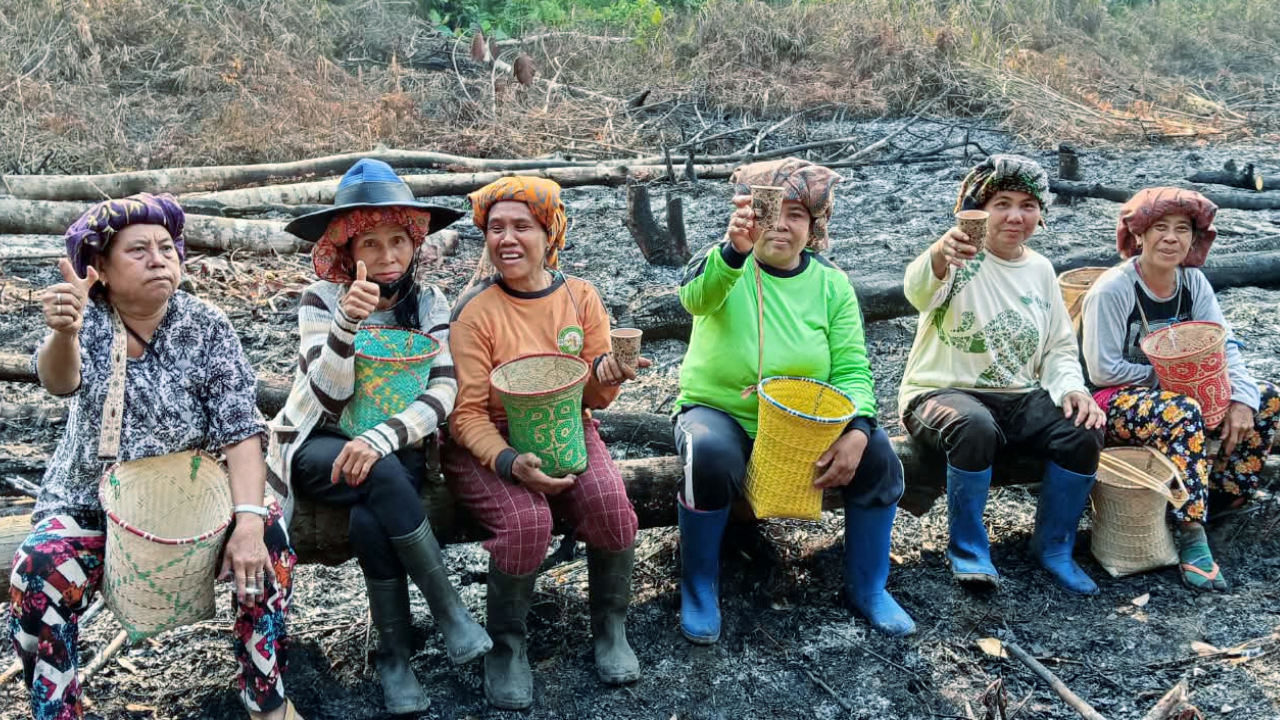 Cabut Perda, Api Padam? Jangan Jadikan Peladang Kambing Hitam Karhutla di Kalimantan Barat