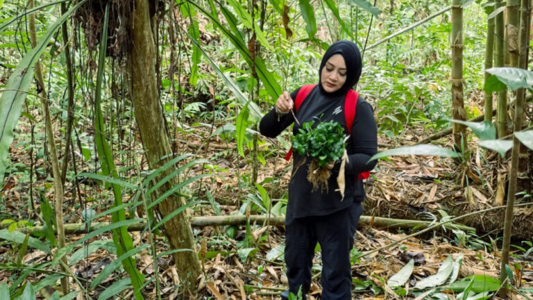 Niken Tia Tantina mengenakan pakaian hitam dan tas punggung merah sedang mengamati tanaman liar beserta akarnya di tengah hutan. (Dok. Niken Tia Tantina)