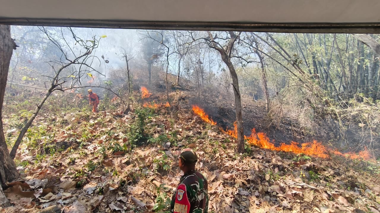 Kemarau Agustus: Karhutla Kepung Bromo hingga Rinjani, Salatiga Dilanda Krisis Air