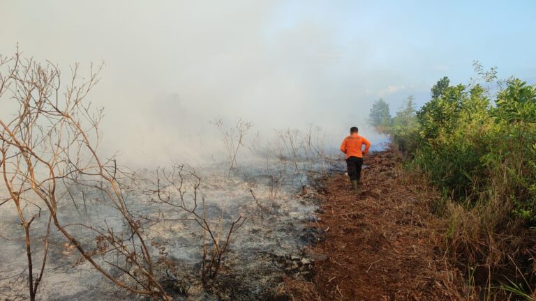 "Tim gabungan mengerahkan pendinginan dan penyekatan lahan gambut bekas karhutla di Desa Limbung, Kubu Raya, guna melindungi area sekolah dari ancaman asap."