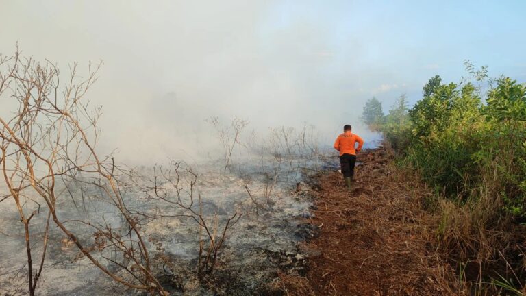 "Kualitas udara di Kubu Raya anjlok ke kategori berbahaya pada Jumat pagi dengan PM2.5 capai 357,8 µg/m³ imbas pekatnya kabut asap karhutla."