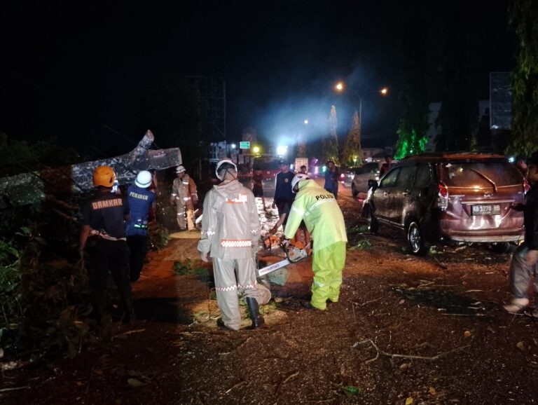 "Minibus tertimpa pohon tumbang akibat angin kencang di Jalan Arteri Supadio Kubu Raya pada Jumat (31/7/2026). Seluruh penumpang dilaporkan selamat."
