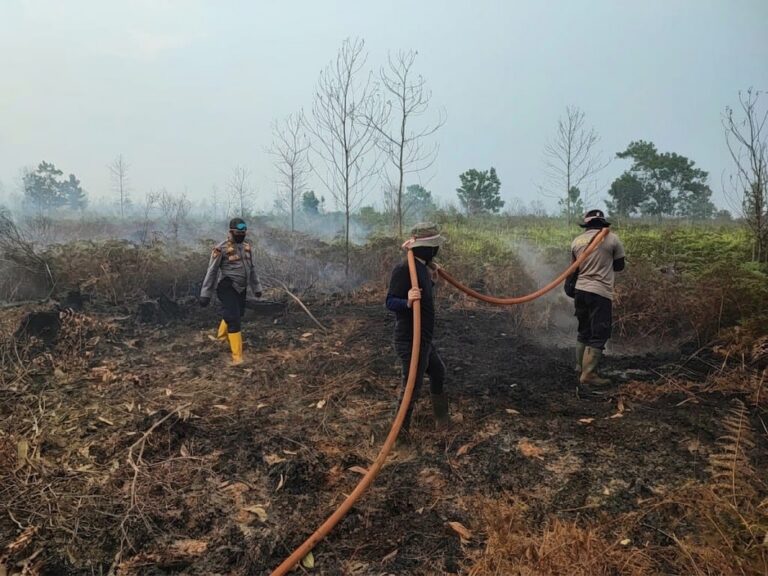 "Tim gabungan KRYD Polres Kubu Raya, TNI, BNPB, dan Manggala Agni lakukan pendinginan lahan gambut bekas karhutla guna cegah bara api menyala kembali."
