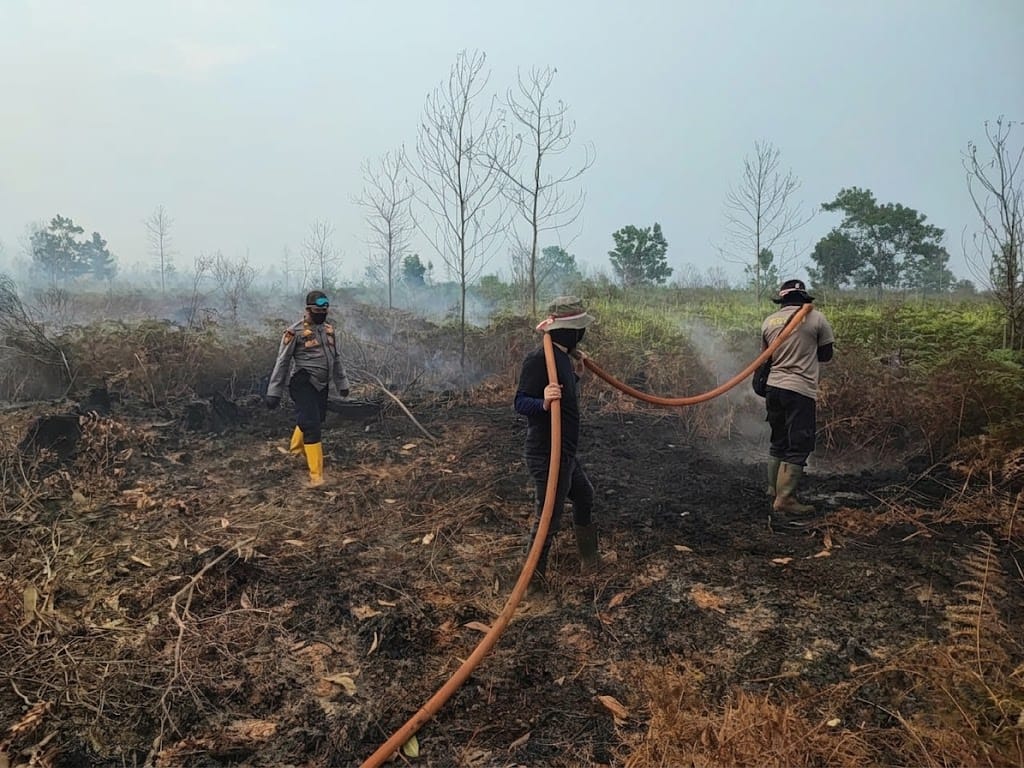 Cegah Bara Gambut Menyala, Tim Gabungan Sisir Lokasi Karhutla di Kubu Raya