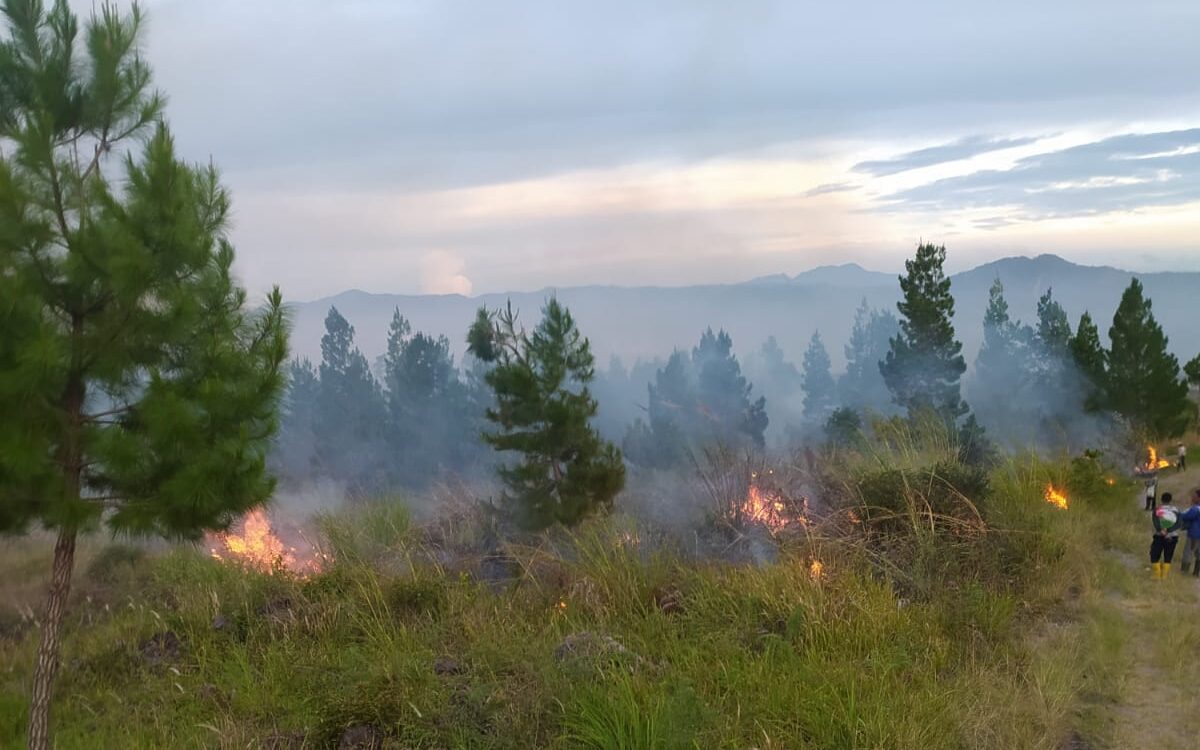 Puluhan Hektare Terbakar di Berbagai Daerah, BNPB Perketat Penanganan Karhutla