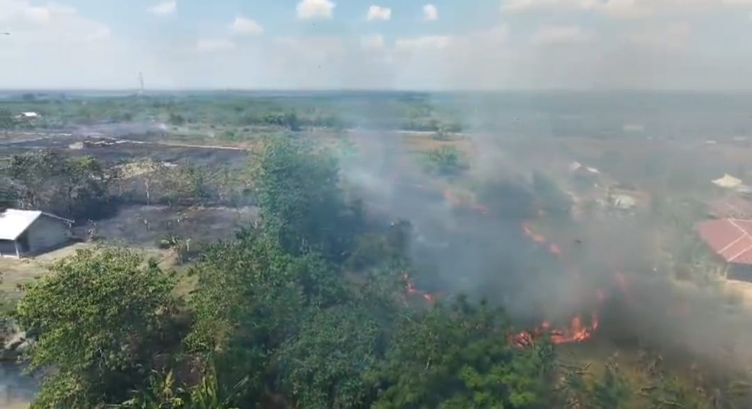 Laporan BNPB: Karhutla Melanda Sragen, Sidrap, Cianjur, dan Trenggalek