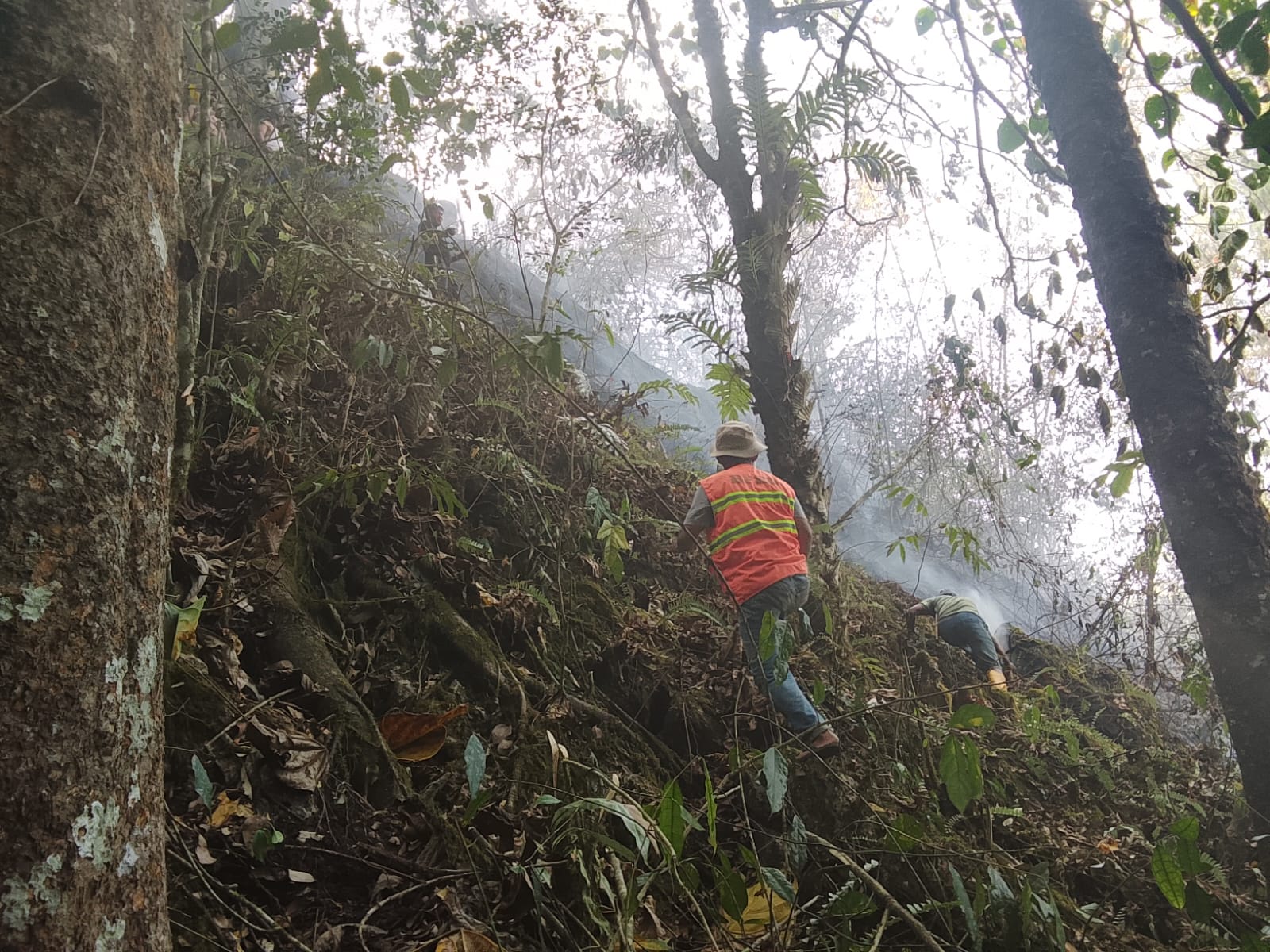 BNPB Rilis Data Bencana: Karhutla di Tiga Wilayah dan Satu Korban Jiwa Gempa Sulteng