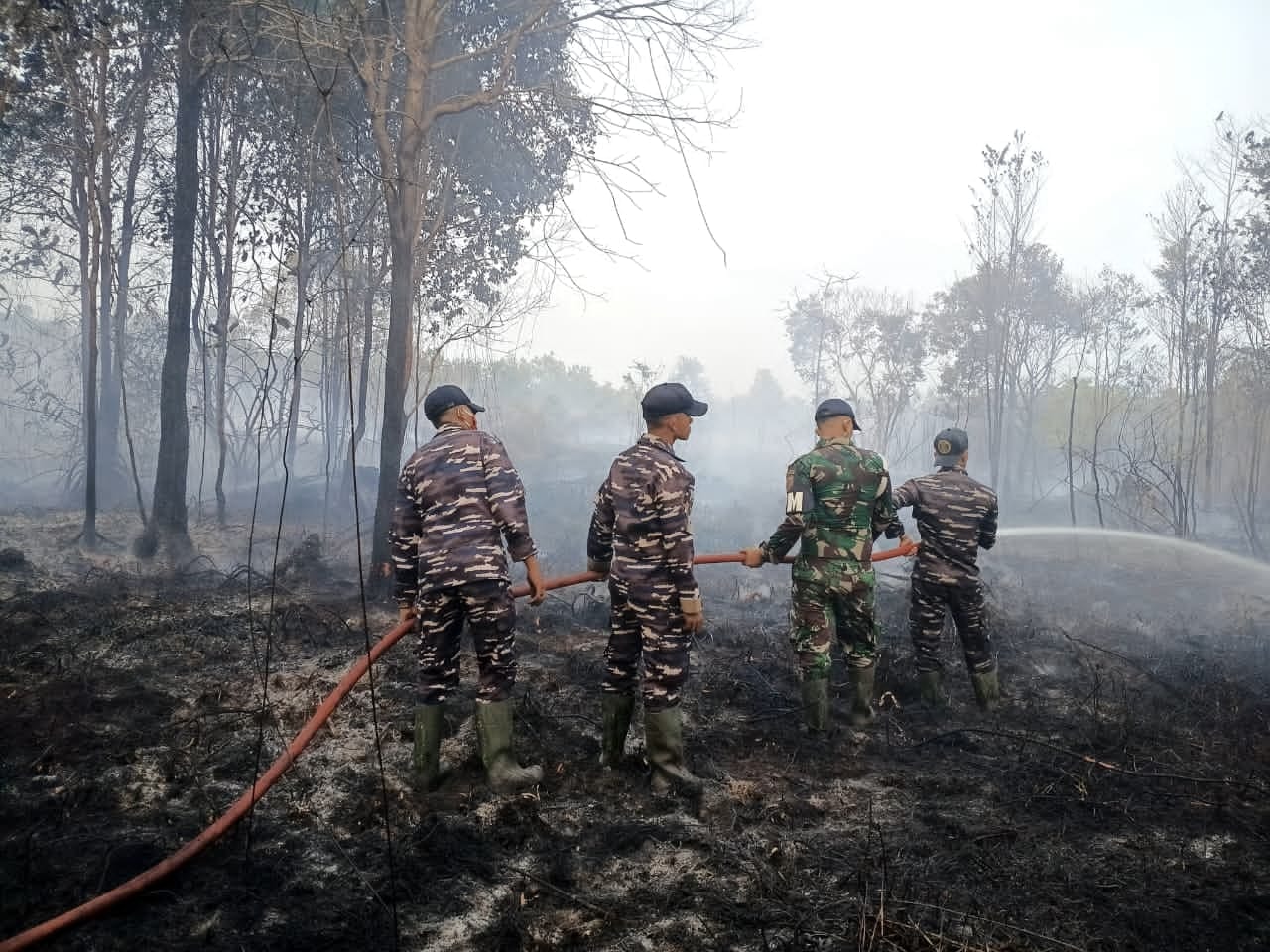 BNPB Rilis Data Bencana Terkini: Karhutla Landa Tiga Provinsi, Nduga Krisis Pangan