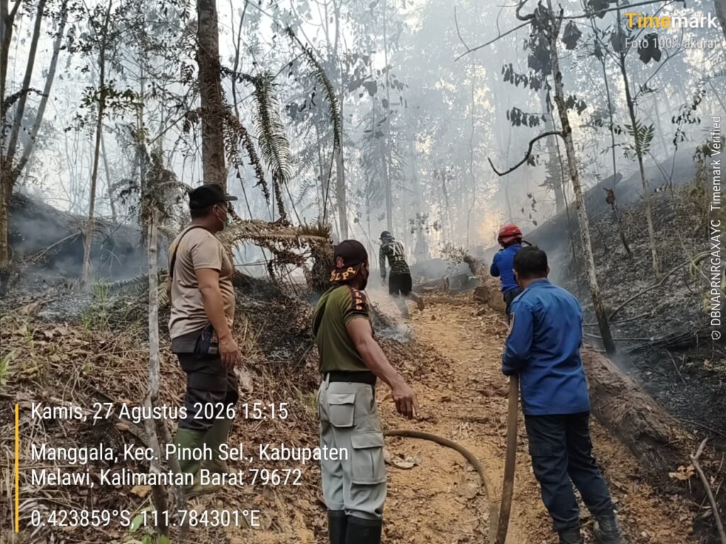 Kepung Pondok Kebun di Melawi, Satgas Karhutla Evakuasi Satu Keluarga dari Kobaran Api