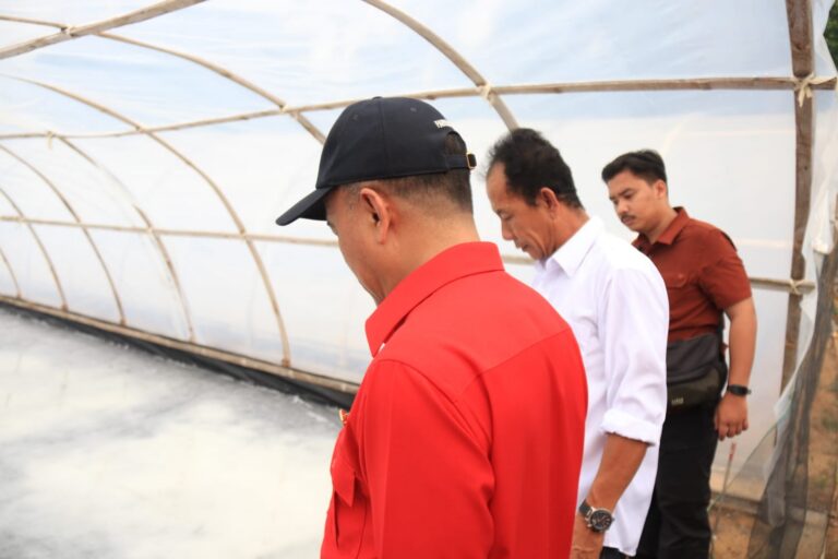 "Wagub Kalbar Krisantus Kurniawan tinjau tambak garam rakyat di Desa Sebubus Sambas, dorong sertifikasi yodium dan targetkan Paloh jadi sentra garam utama Kalbar."