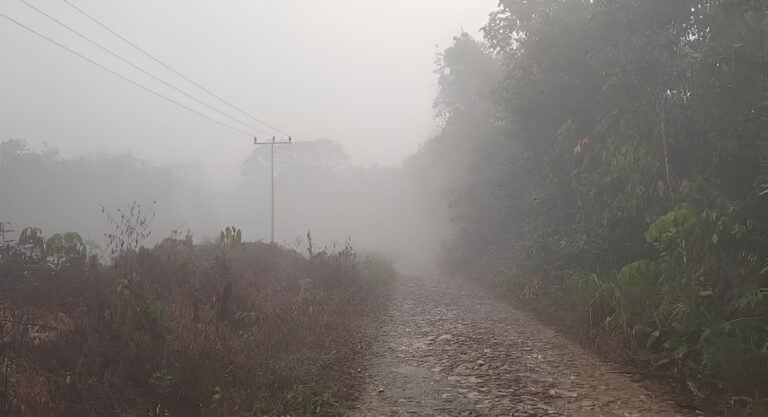 "Disdik Sintang belum keluarkan edaran sekolah daring; guru honorer SDN 26 Baras keluhkan kabut asap pekat berbahaya dan pemotongan gaji saat bertugas."