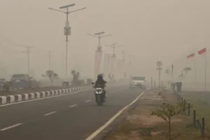 "Dikepung kabut asap tebal dengan kualitas udara berbahaya, warga Palangka Raya keluhkan antrean panjang BBM bersubsidi di SPBU hingga berjam-jam."