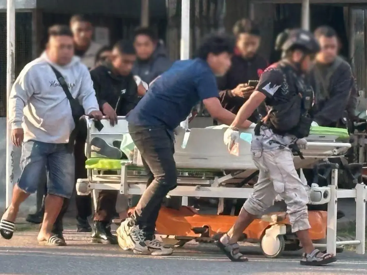 Salurkan Bantuan Ternak di Muliama, Tiga Pegawai Dinas Pertanian Jayawijaya Gugur Ditembak KKB