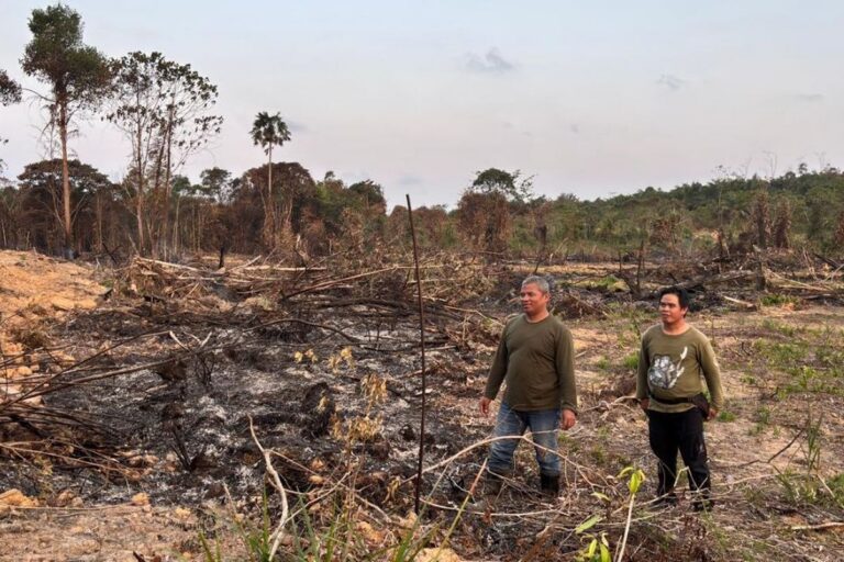 "Dugaan buka kebun sawit ilegal picu kebakaran lahan yang hanya berjarak 20 meter dari hutan IKN KHDTK Samboja, kepolisian lakukan penyelidikan intensif."